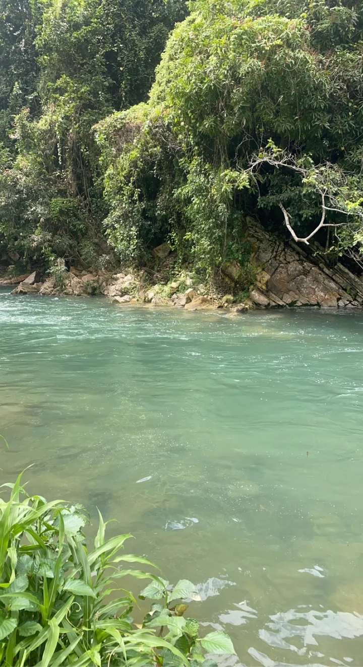 Buff Bay River in Buff Bay | What to Know Before You Go