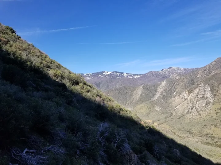 Packsaddle Trail in California - Ask AI | mindtrip