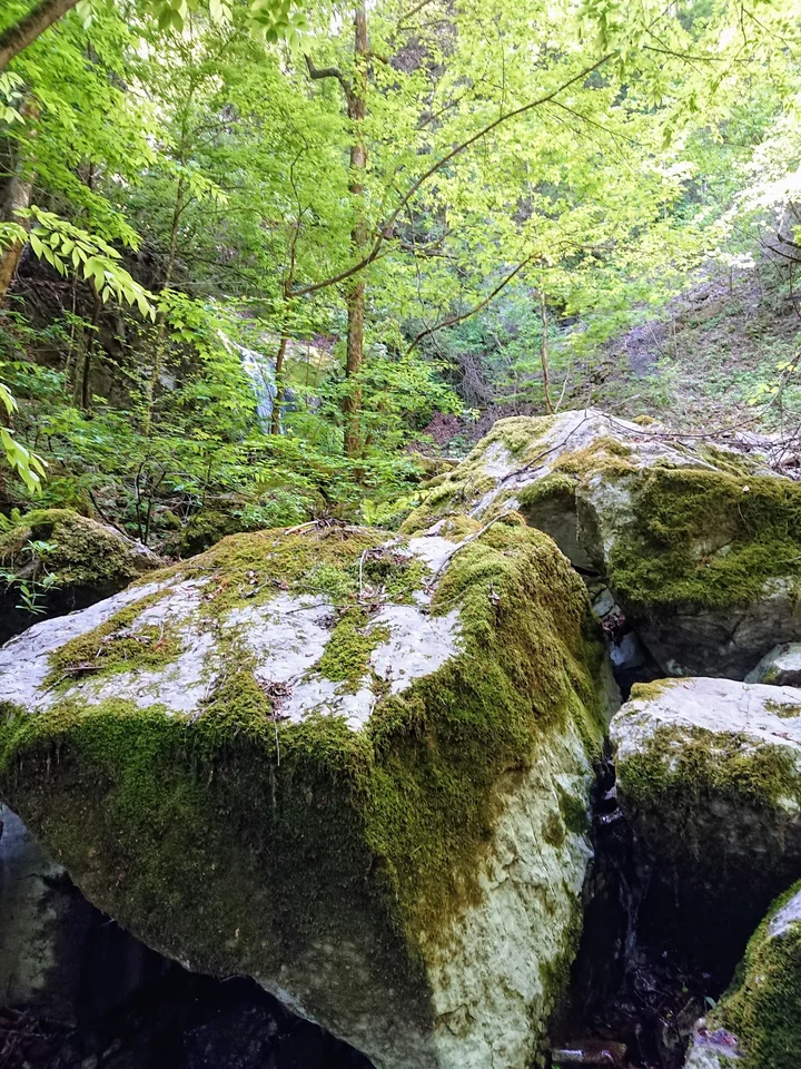 Gohangyo Waterfall in Okutama-machi - Ask AI | mindtrip