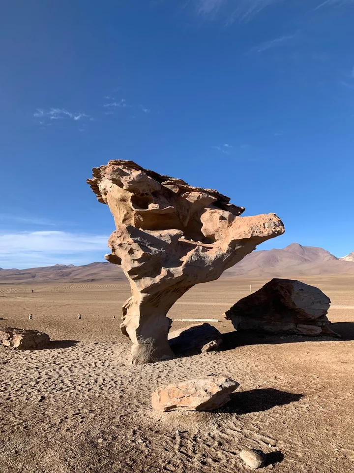 Salvador Dalí Desert | What to Know Before You Go