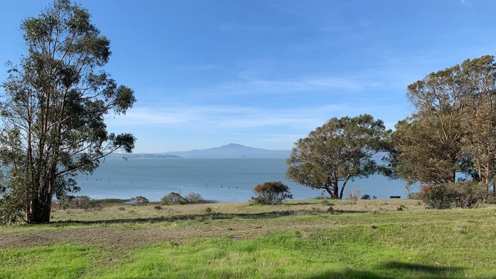 Point Pinole Regional Shoreline - Ask AI | mindtrip
