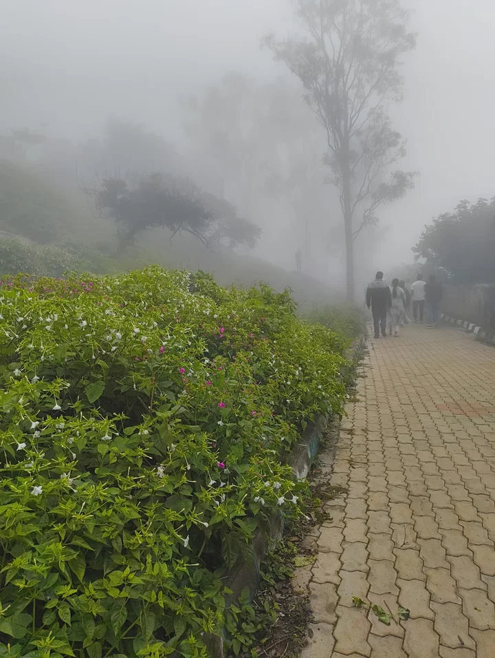 Nandi Hills Sunrise View point | What to Know Before You Go