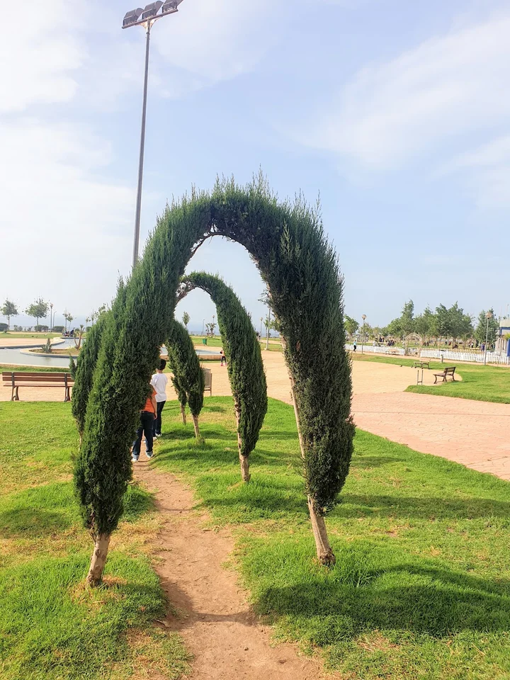 Mediterranean Akid Lotfi Garden in Oran - Ask AI | mindtrip
