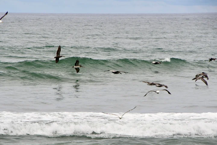 Punta Colonet Beach in Baja California - Ask AI | mindtrip