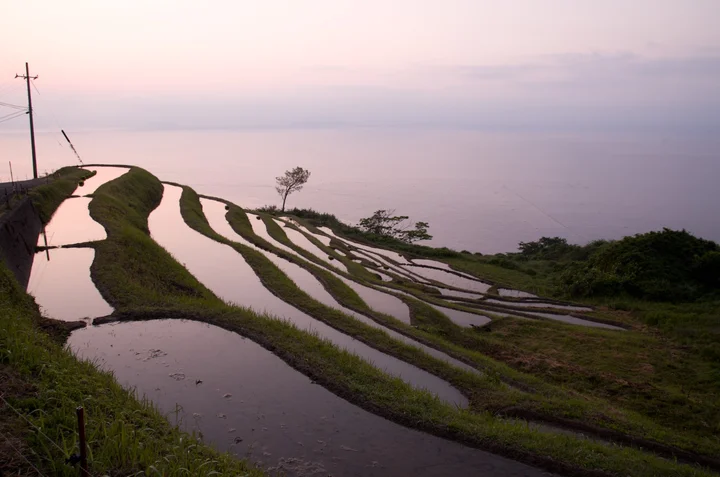 Nii Rice Terraces in Ine-cho - Ask AI | mindtrip