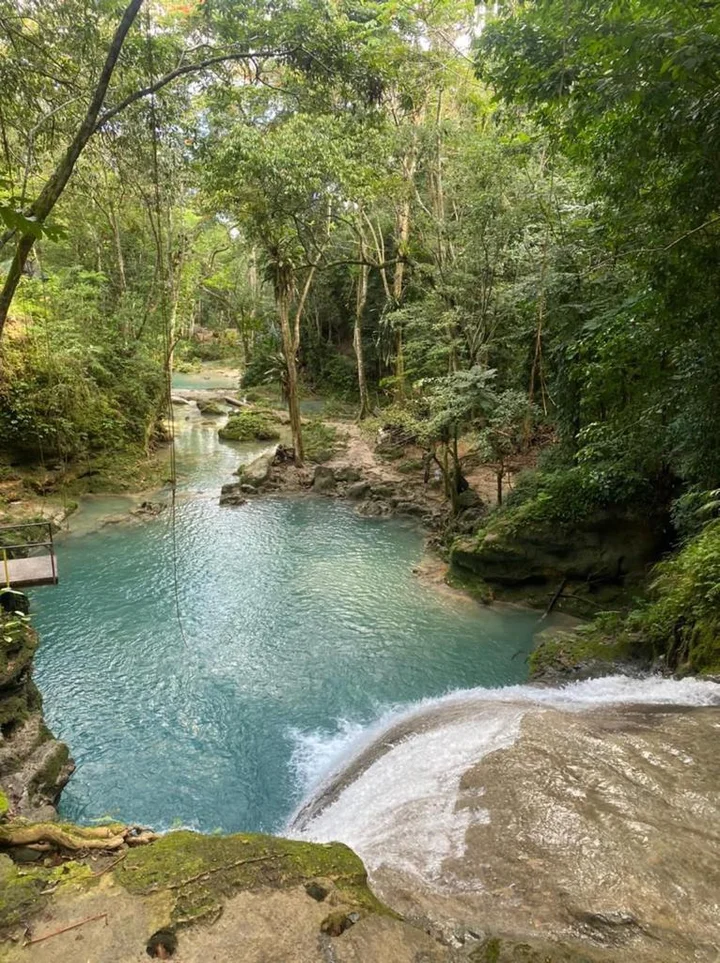 Island Gully Falls in Colgate - Ask AI | mindtrip