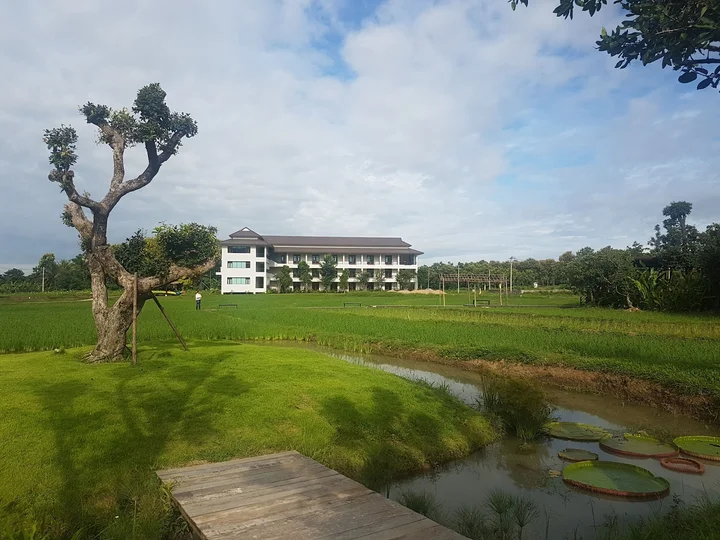 Dutch Farm in Mae On | What to Know Before You Go