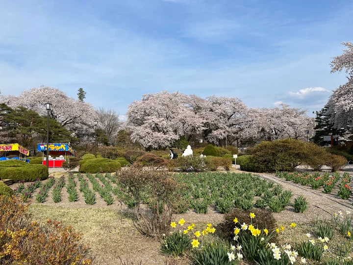 Numata Park in Numata, Gunma | What to Know Before You Go