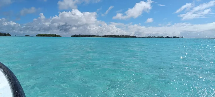 Paahi in Faanui, Leeward Islands | Ask Anything