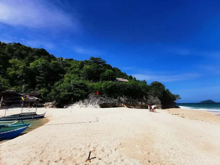 Turtle Island in Sipalay | What to Know Before You Go