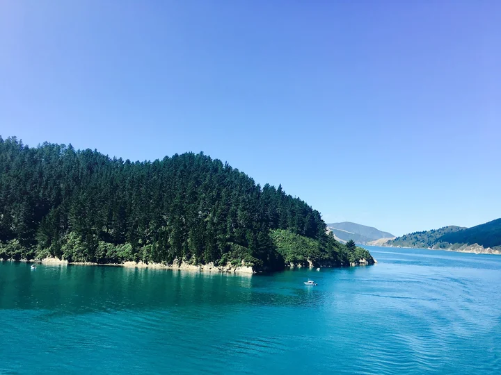 Bluebridge Cook Strait Ferry Wellington Terminal