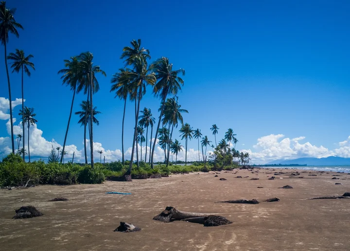 Golden Beach, Trombol | What to Know Before You Go