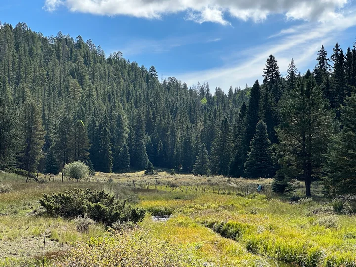 Las Conchas Trailhead in Jemez Springs | Ask Anything