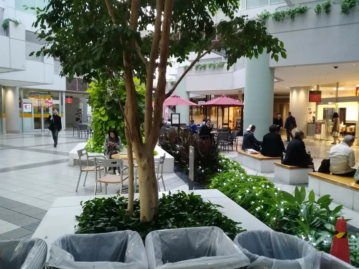 Seavans Amall in Tokyo | What to Know Before You Go