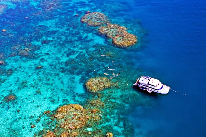 Reef Experience in Cairns, Queensland - Ask AI | mindtrip