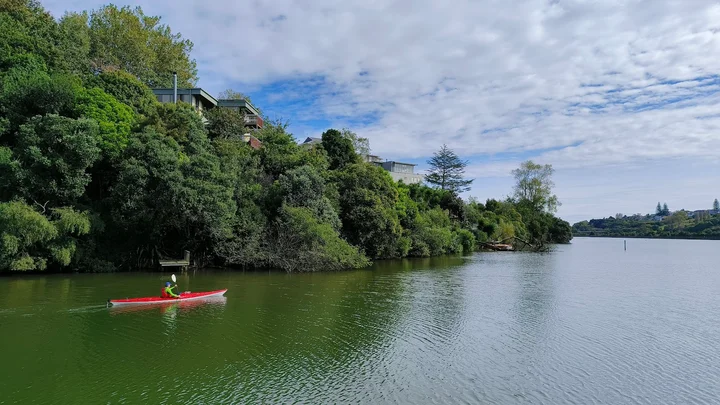 Orakei Basin in Auckland - Ask AI | mindtrip