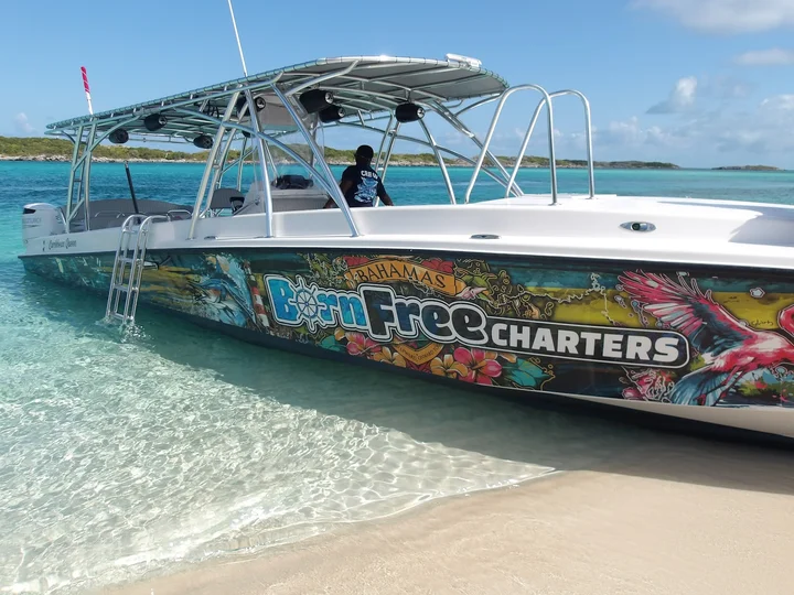 Born Free Charters - Ask AI | mindtrip