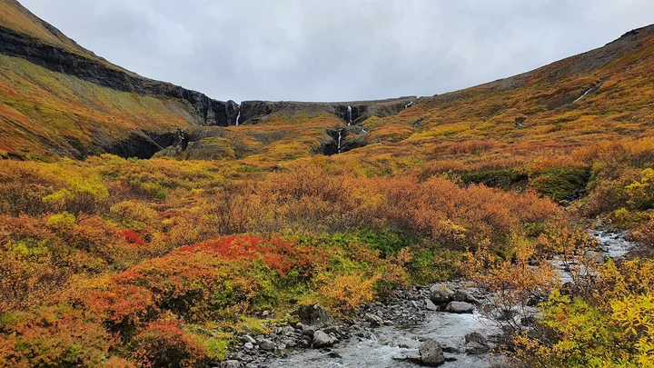 Valagil Waterfall in Sudavik | What to Know Before You Go