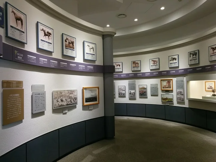 JRA Horse-Racing Museum in Fuchu, Tokyo | Ask Anything