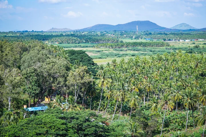 Borana Kanive Reservoir | What to Know Before You Go