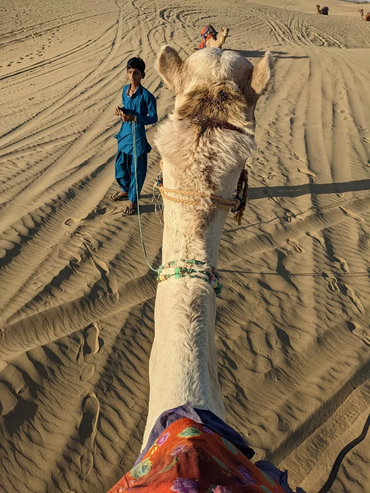 Camel Ride Point in Sam | What to Know Before You Go