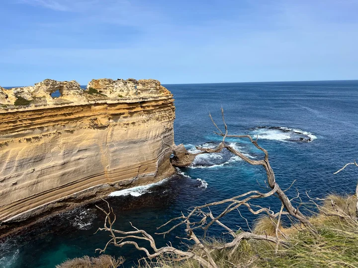 The Razorback in Port Campbell, Victoria - Ask AI | mindtrip