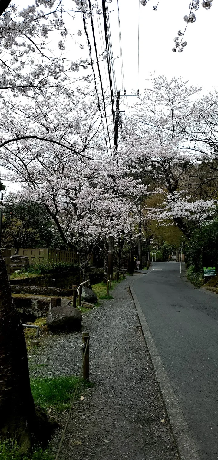 The Rabbit and the Tortoise in Kamakura - Ask AI | mindtrip