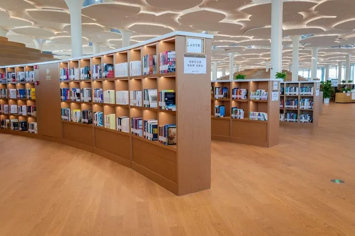 National Library of China in Beijing | Ask Anything