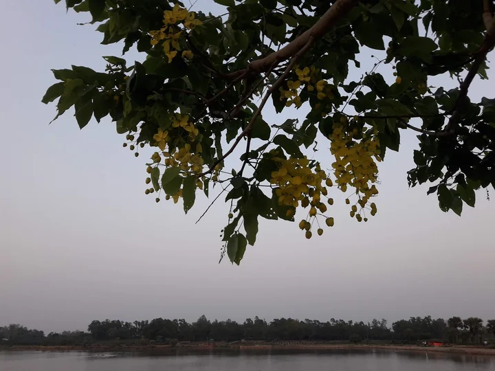 Dibor Dighi in রাজশাহী বিভাগ - Ask AI | mindtrip