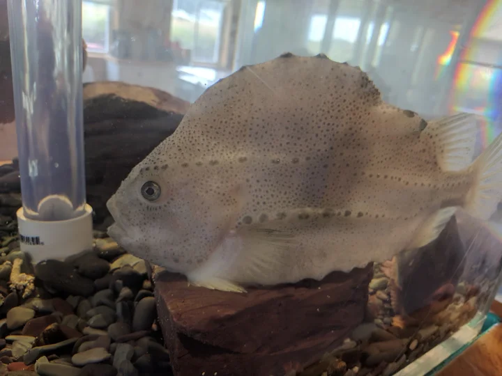 Champney's West Aquarium | What to Know Before You Go