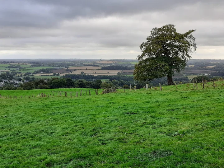 Slane Abbey in Slane, County Meath - Ask AI | mindtrip