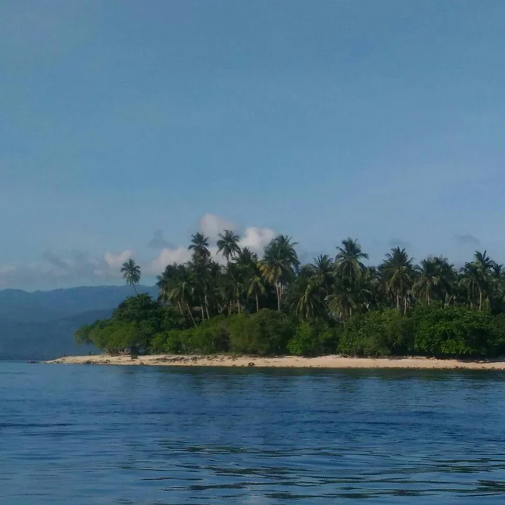 Basul Island in Surigao City, Caraga - Ask AI | mindtrip
