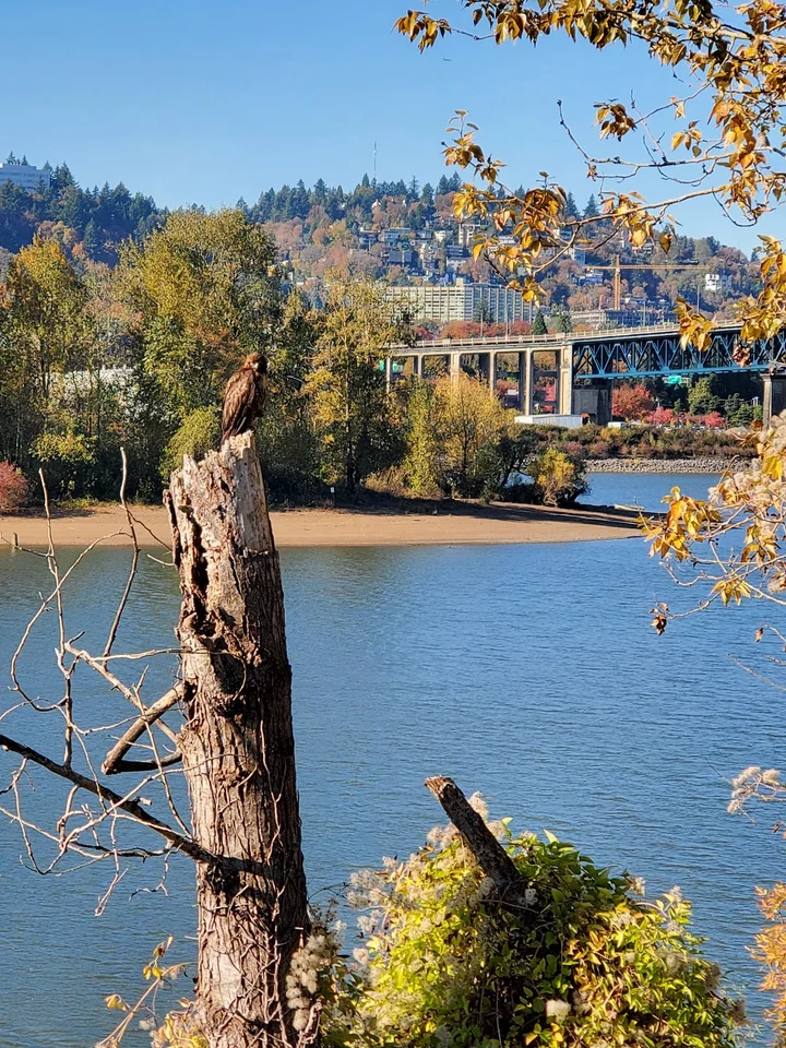 Springwater Corridor in Portland, Oregon - Ask AI | mindtrip