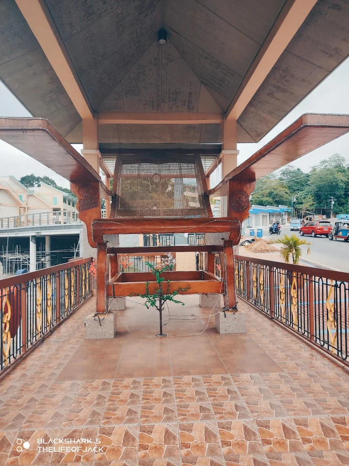 Giant Butaka in Ilagan, Cagayan Valley - Ask AI | mindtrip