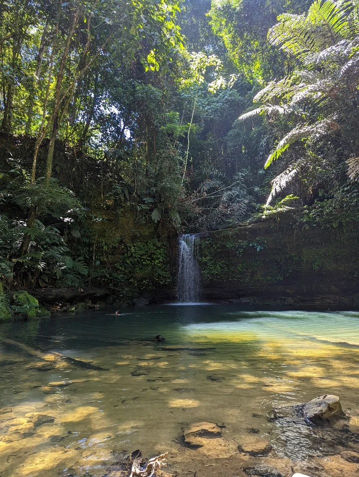 Labi Forest Reserve | What to Know Before You Go