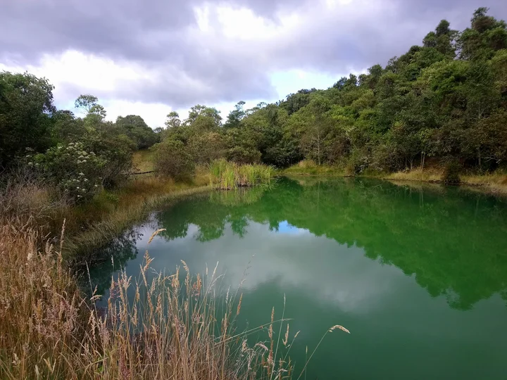 Reserva Biológica Encenillo in Guasca - Ask AI | mindtrip