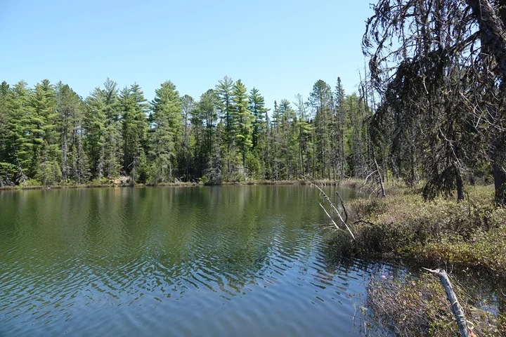 Bat Lake Trail in Ontario - Ask AI | mindtrip