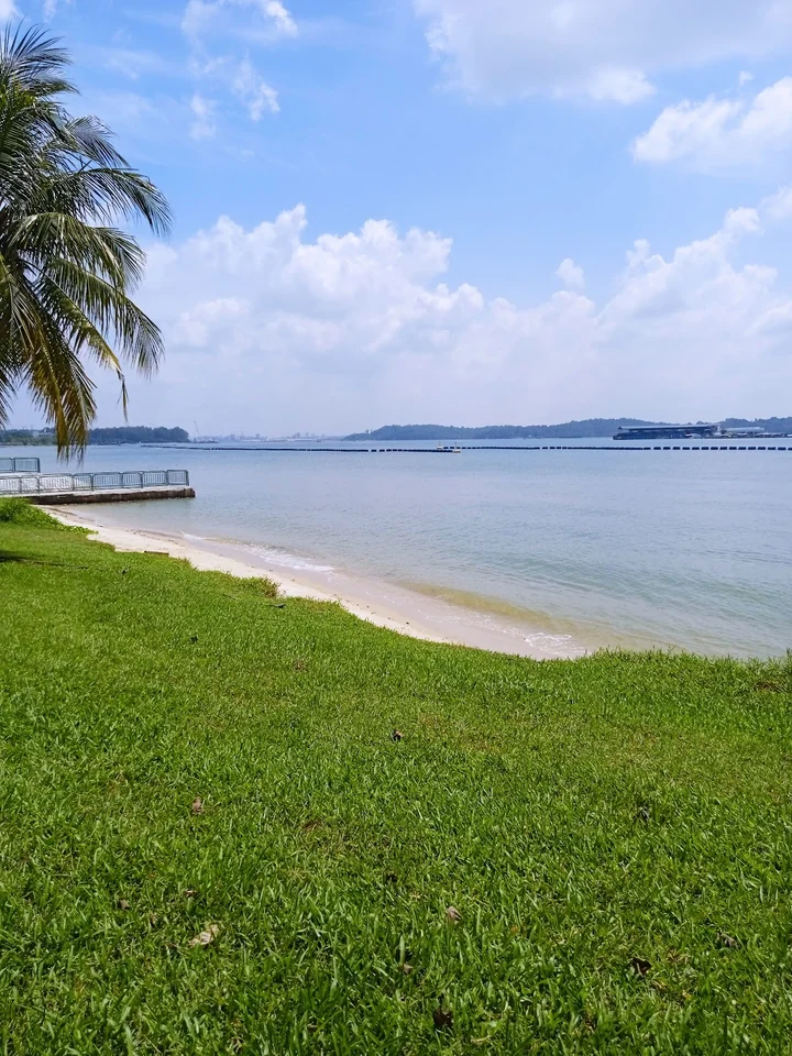 Pasir Ris Park PCN in Singapore | What to Know Before You Go