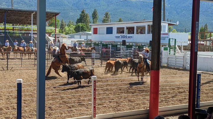 Chief Joseph Days Rodeo | What to Know Before You Go