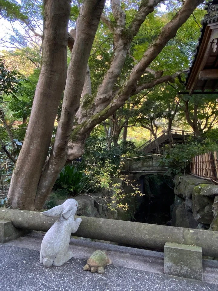 The Rabbit and the Tortoise in Kamakura - Ask AI | mindtrip