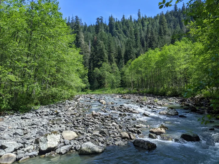 Sultan River Canyon Trail in Sultan | Ask Anything
