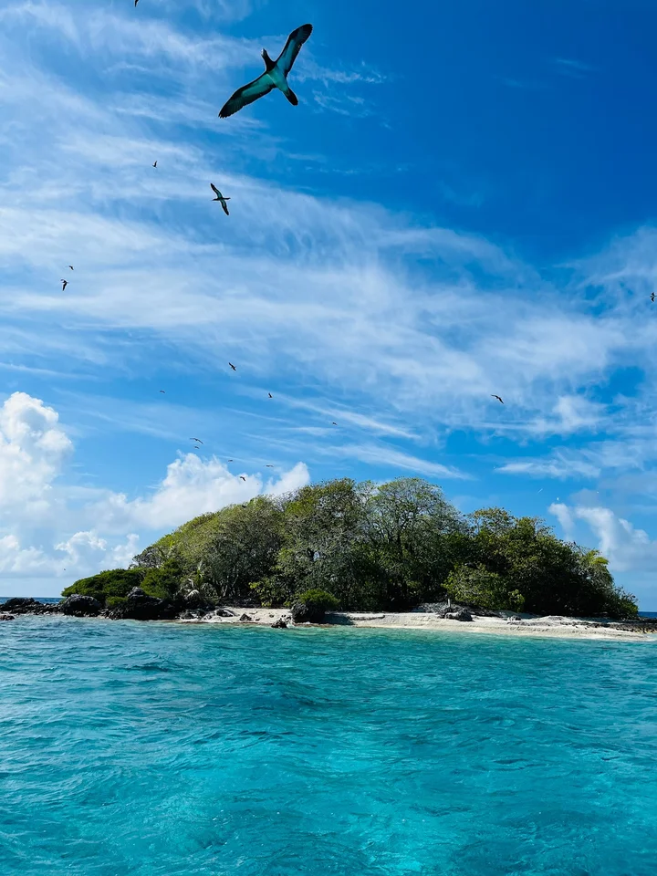 Rairoa Fishing And Tours | What to Know Before You Go