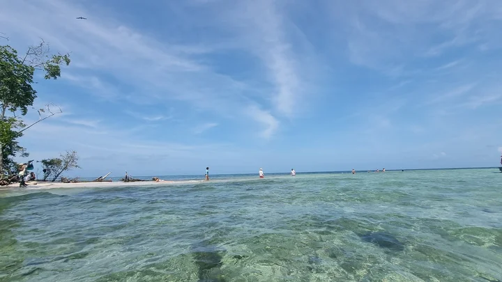 Isla Mangles in Bolivar - Ask AI | mindtrip
