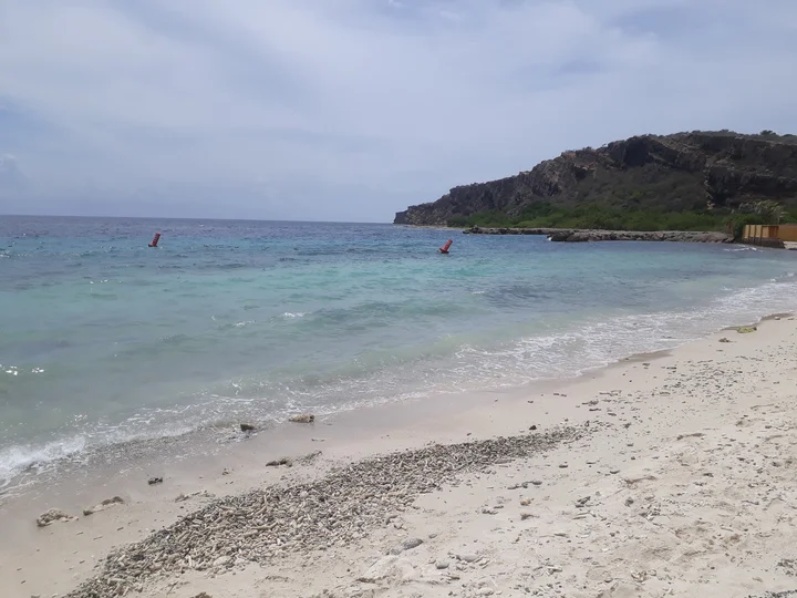 Caracas Bay in Willemstad | What to Know Before You Go