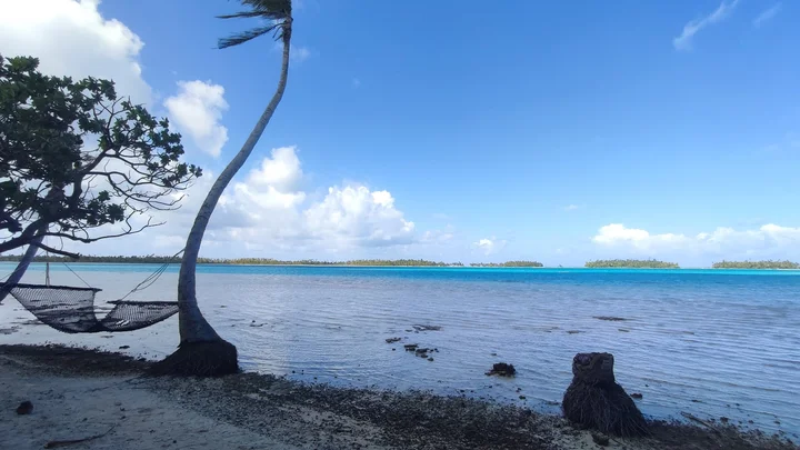 Rairoa Fishing And Tours | What to Know Before You Go