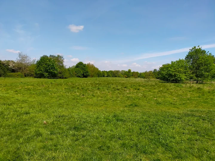 Somersham Nature Reserve in Somersham - Ask AI | mindtrip