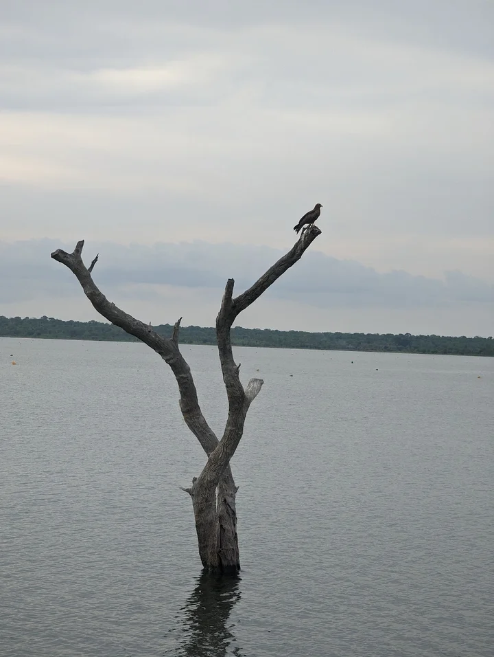 Digya National Park in Bono East Region | Ask Anything