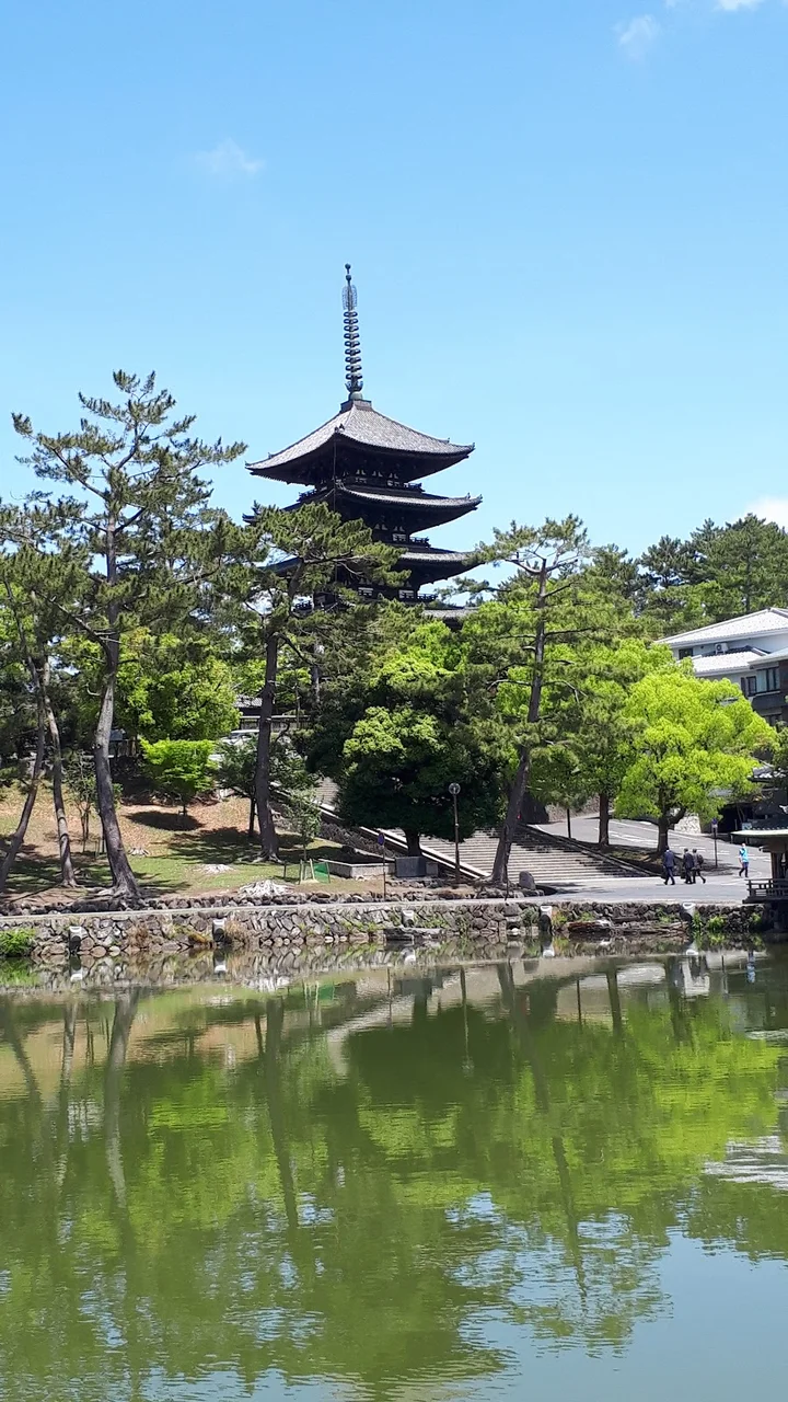 Tokon-do in Nara, Nara Prefecture | Ask Anything