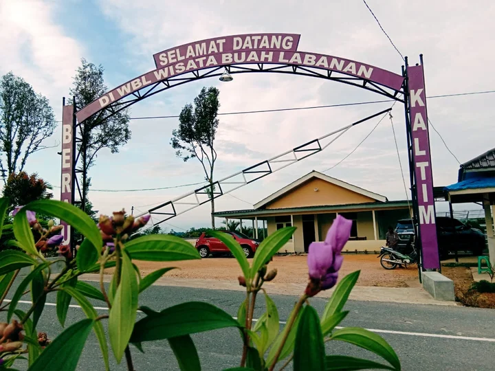 WBL Wisata Buah labanan in Berau | Ask Anything