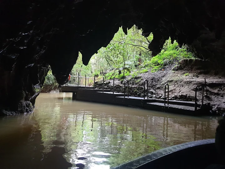 Waitomo Glowworm Caves in Waitomo Caves | Ask Anything